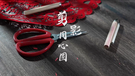 b55e92822fc90c4ace697b9febd74e2